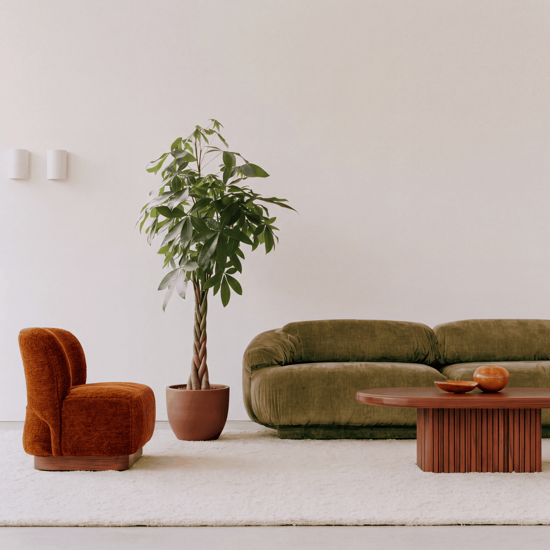 Large Statement Plants for Living Rooms