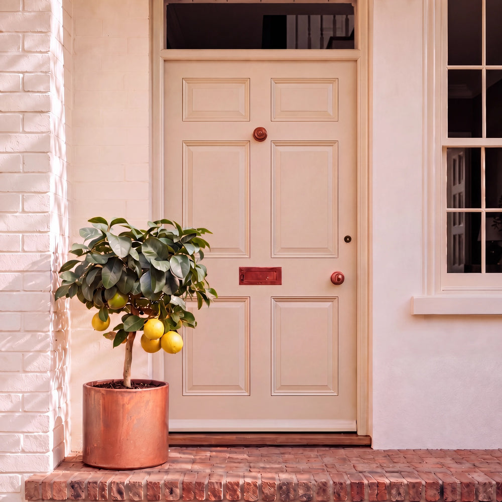 Lemon Tree