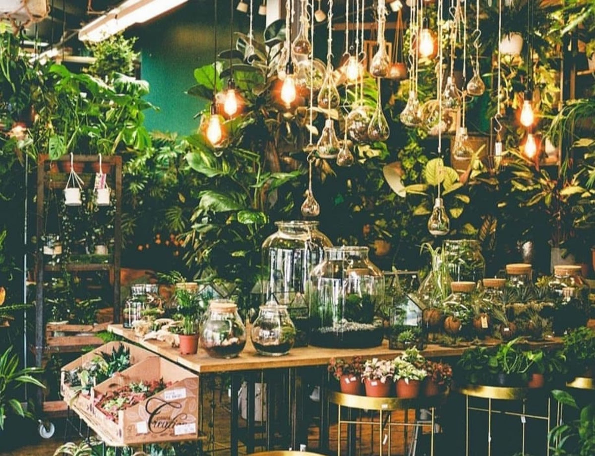 The Shop