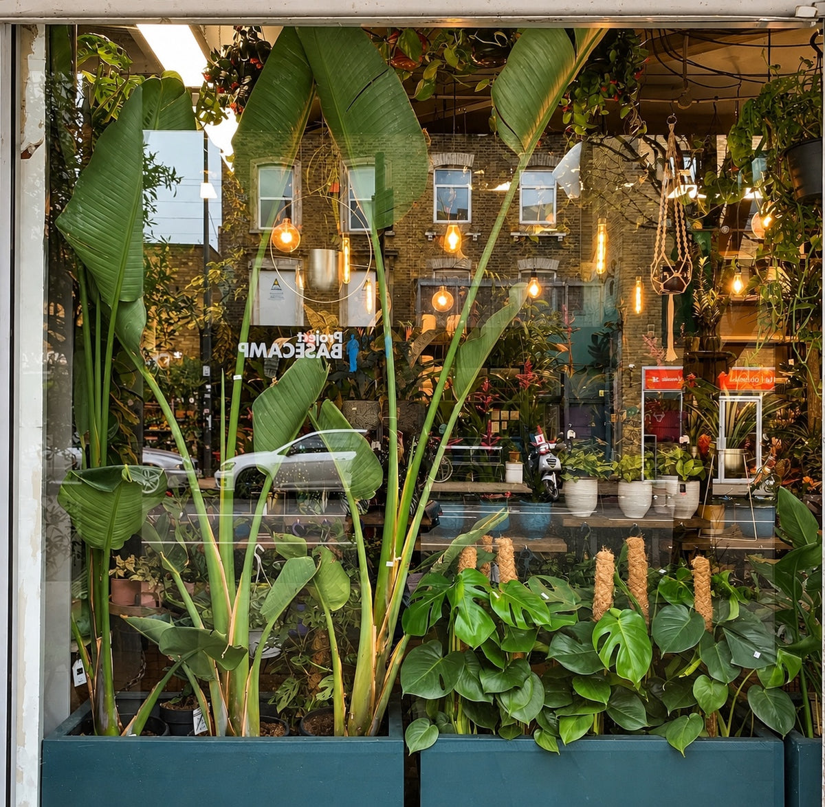 The Shop