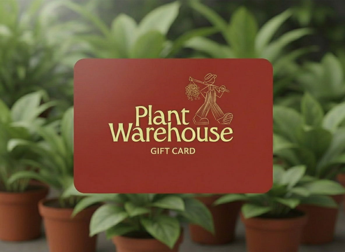 Digital Gift Card
