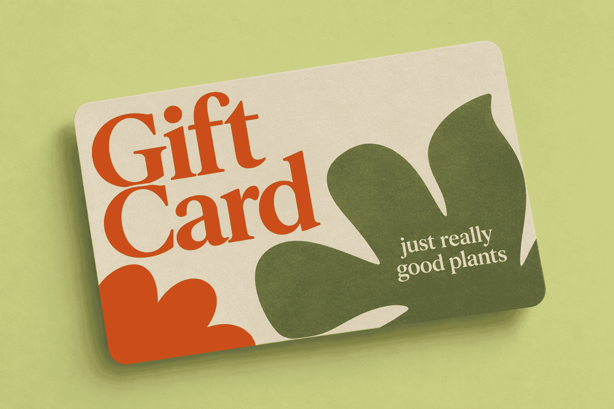 Digital Gift Card