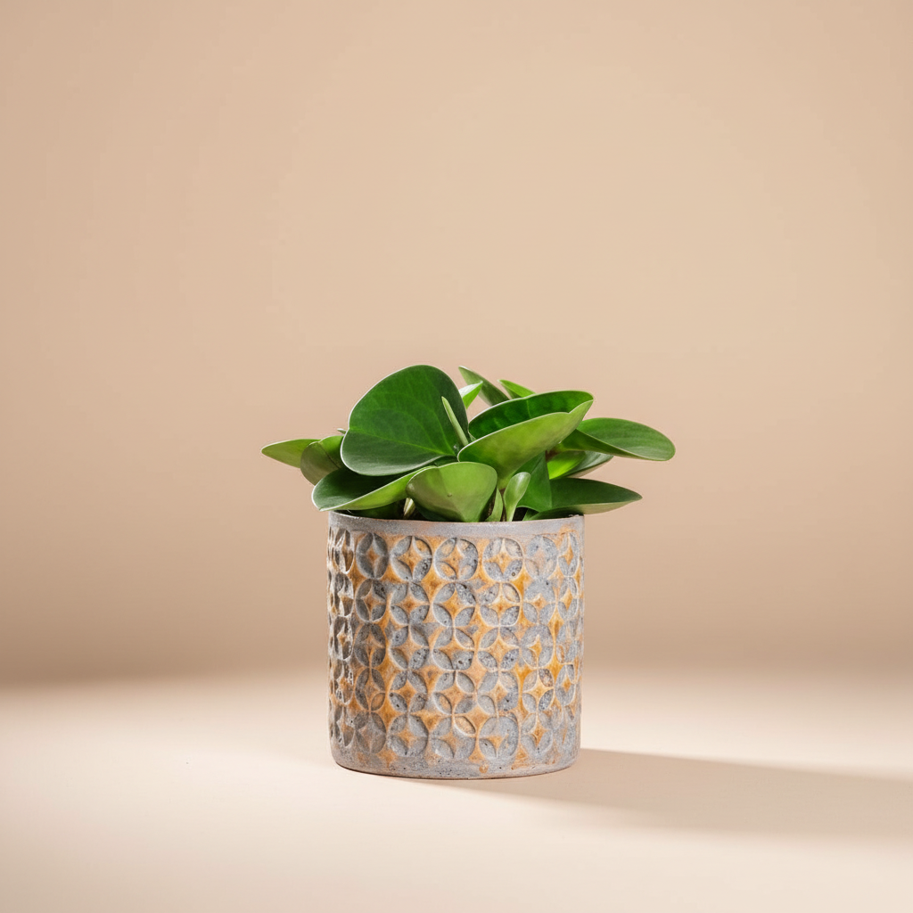Terni Planter In Mustard