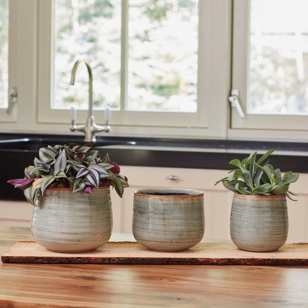 Como Planter In Mint