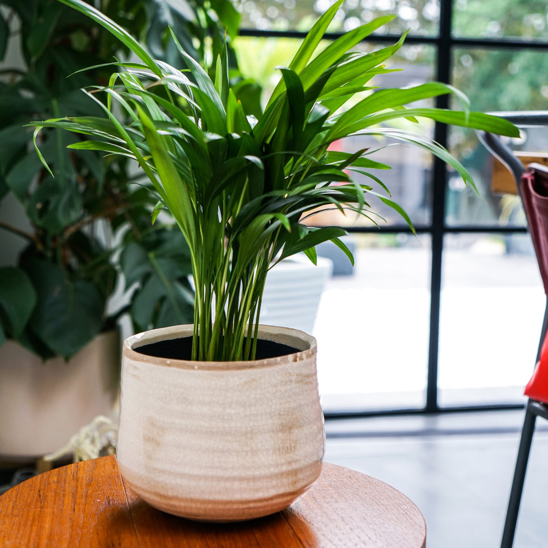 Como Planter In Ivory